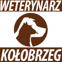 Chodorowski Adam, lek. wet. Usługi weterynaryjne, Kołobrzeg godziny otwarcia