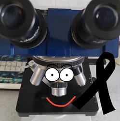Laboratorium Medyczne Medina, Koszalin godziny otwarcia