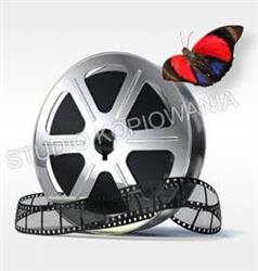 Studio Kopiowania Taśm Filmowych i Nagrań Wideo, Warszawa godziny otwarcia
