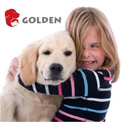 Golden. Małopolskie Centrum Kynoterapii. Kuc M., Kraków godziny otwarcia