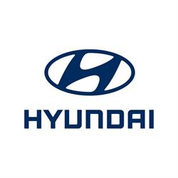Autoryzowany Dealer Marki Hyundai Firma Mk Centrum K.duliba M.myczka Sp. Jawna, Piotrków Trybunalski godziny otwarcia