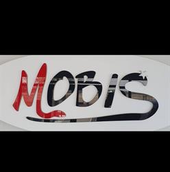 Mobis Przemysław Woźniak, Skalmierzyce godziny otwarcia