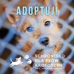 Schronisko dla bezdomnych zwierząt Towarzystwa Opieki nad Zwierzętami w Polsce, Krotoszyn godziny otwarcia