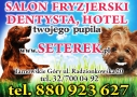 Salon Seterek Fryzjer i Hotel dla psów i kotów, Tarnowskie Góry - godziny otwarcia