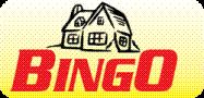 Bingo d. Irzycki - Usługi Remontowe Żyrardów, godziny otwarcia