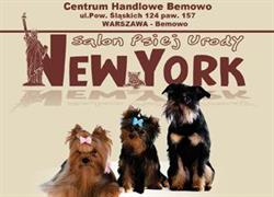 Salon New York - Strzyżenie Psów Warszawa Bemowo, godziny otwarcia