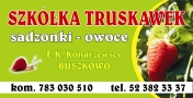 Szkółka Truskawek, Koronowo godziny otwarcia