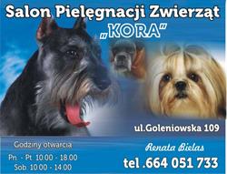 "kora" Salon Pielęgnacji Zwierząt, Szczecin - godziny otwarcia