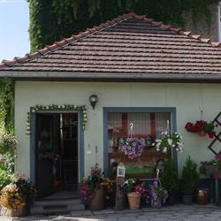 Krystyna Kwiaciarnia Krystyna Rudnik, Kadłub Turawski godziny otwarcia