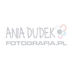 aniadudekfotografia.pl Studio Fotografii, Katowice godziny otwarcia