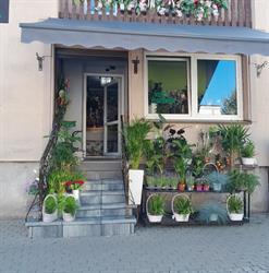 Kwiaciarnia Grażyna Góra, Brodnica godziny otwarcia