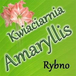 Amaryllis Kwiaciarnia Marek Wilbrandt, Rybno godziny otwarcia