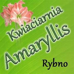 Amaryllis Kwiaciarnia Marek Wilbrandt, Rybno godziny otwarcia