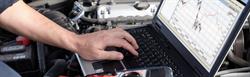 Tele-Elektro-Bis, Kaczory godziny otwarcia