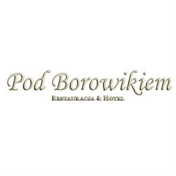 Restauracja pod Borowikiem, Miały godziny otwarcia