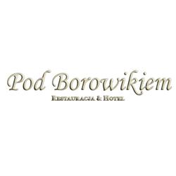 Restauracja pod Borowikiem, Miały godziny otwarcia