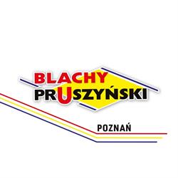 Pruszyński Sp. z o.o Filia Poznań, Paczkowo godziny otwarcia