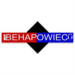 Behapowiec Firma Usługowa Mariusz Palatyński, Szamotuły godziny otwarcia