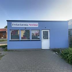 Kwiaciarnia Nerina. Monika Sitek, Września godziny otwarcia
