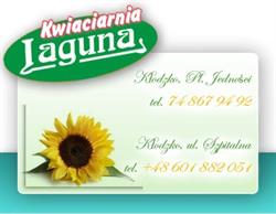 Laguna Kwiaciarnia Marzena i Mieczysław Łajczak, Kłodzko godziny otwarcia