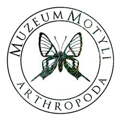 Arthropoda. Muzeum Motyli, Bochnia godziny otwarcia