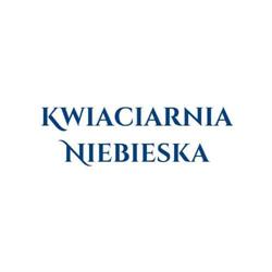 Niebieska. Kwiaciarnia, Białe Błota godziny otwarcia