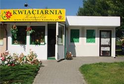 Kwiaciarnia Kamelia. Beata Jędrzejewska, Sandomierz godziny otwarcia