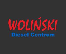 Diesel Centrum Grzegorz Woliński, Piaski godziny otwarcia