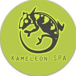 Klinika Urody "kameleon" Ewa Urbanowicz, Szczecin - godziny otwarcia
