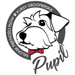 Psi Fryzjer "pupil", Bydgoszcz - godziny otwarcia