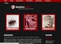 Silesia-Pest, Sosnowiec - godziny otwarcia