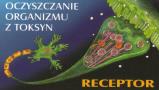 Receptor Mgr Biologii Ewa Gorol, Pyskowice godziny otwarcia