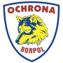 Agencja Ochrony Osób i Mienia Borpol, Środa Wielkopolska godziny otwarcia