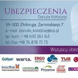 Danuta Kołodziej Ubezpieczenia Złotoryja, godziny otwarcia