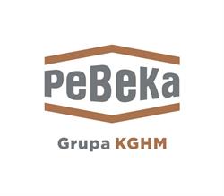 Pebeka S.A. Przedsiębiorstwo budowy kopalń, Lubin godziny otwarcia