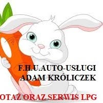 Auto Usługi Firma Handlowo Usługowa Króliczek Adam, Wodzisław Śląski godziny otwarcia