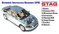 Auto-Rad Magdalena Radzimska, Lidzbark godziny otwarcia