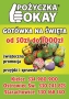 Pozyczka Okay, Starachowice - godziny otwarcia