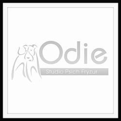 Odie Studio Psich Fryzur, Kielce - godziny otwarcia