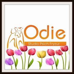 Odie Studio Psich Fryzur, Kielce - godziny otwarcia