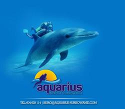 Aquarius Szkoła Nurkowania, Dębica godziny otwarcia