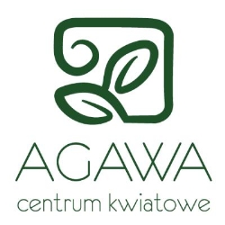 Kwiaciarnia Katowice Agawa Centrum, godziny otwarcia