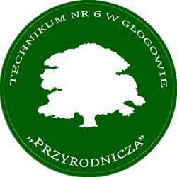 Technikum Nr 6 W Głogowie, Głogów godziny otwarcia