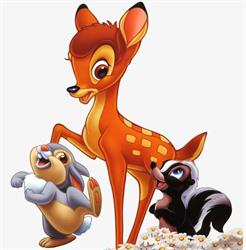 Niepubliczne Przedszkole Bambi, Biały Dunajec godziny otwarcia