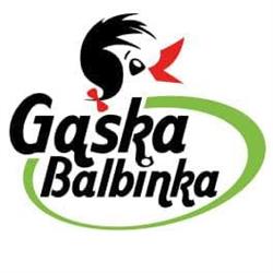 Niepubliczne Przedszkole Językowe "gąska Balbinka", Radom godziny otwarcia