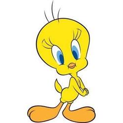 Niepubliczne Przedszkole "tweety" W Wielkim Klinczu, Wielki Klincz godziny otwarcia