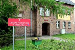 Szkoła Podstawowa W Kopankach, Opalenica godziny otwarcia
