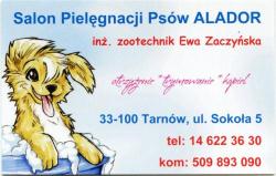 Alador Salon Pielęgnacji Psów, Tarnów - godziny otwarcia