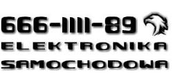 Elektronika Samochodowa, Gniezno godziny otwarcia