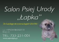 "ŁAPKA'' Salon strzyżenia i pielęgnacji psów, Tychy godziny otwarcia